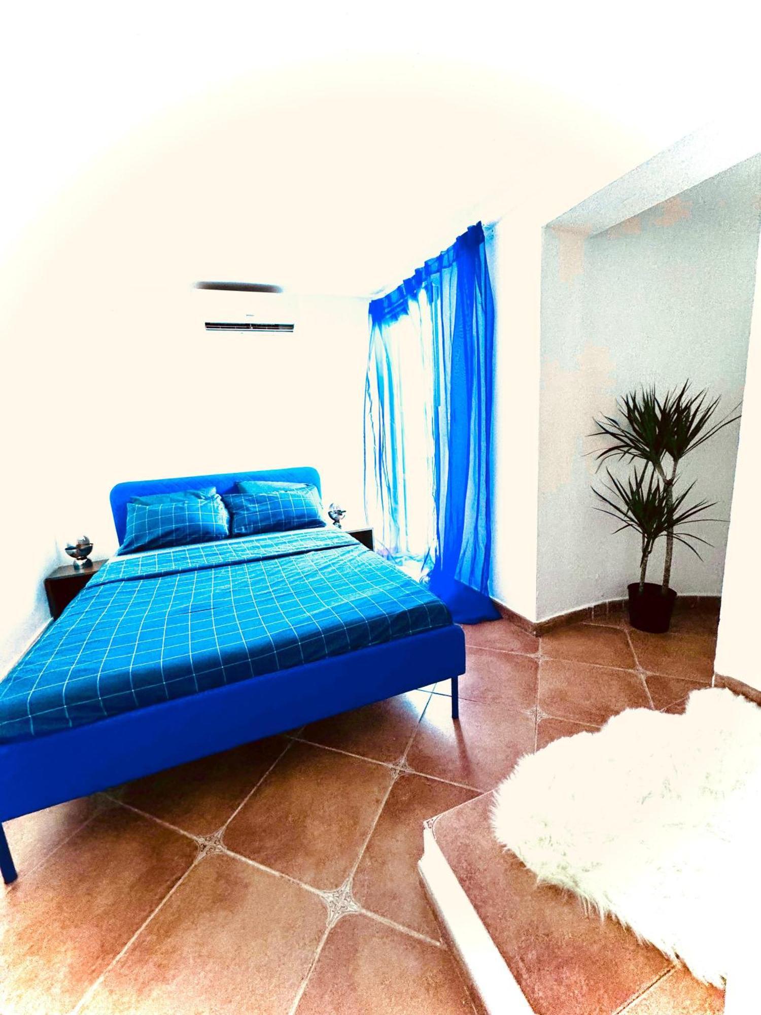 Homestay Problueidc